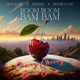 Album cover of Boom Boom Bam Bam (Cherry Cherry Boom Boom Remix)