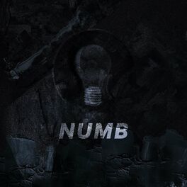 Album cover of numb