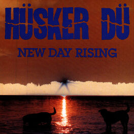 Album cover of New Day Rising