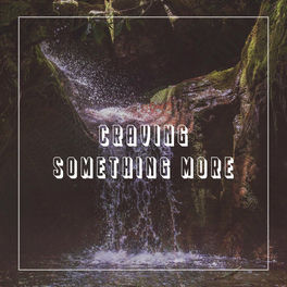 Album cover of Craving Something More