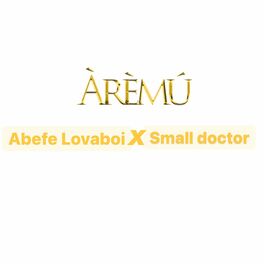 Album cover of Aremu (feat. Small doctor)