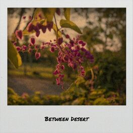 Album cover of Between Desert