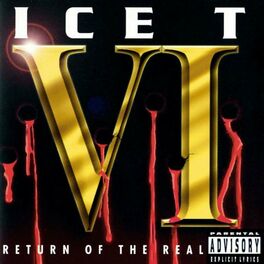Album cover of VI: Return Of The Real