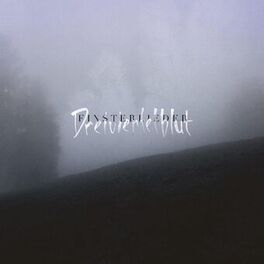 Album cover of Finsterlieder