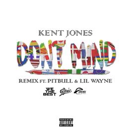Album cover of Don't Mind (feat. Pitbull & Lil Wayne) (Remix)