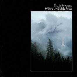 Album cover of Where the Spirit Rests