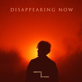 Album cover of Disappearing Now