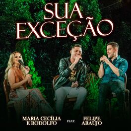 Album cover of Sua Exceção