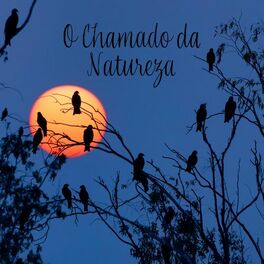 Album cover of O Chamado da Natureza: Acolhendo a Ansiedade e o Estresse (Feel the Peace with Nature Sounds)