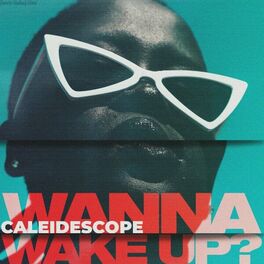 Album cover of Wanna Wake Up?