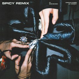 Album cover of Spicy (Remix)