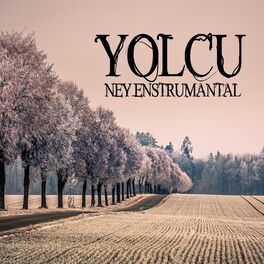 Album cover of Yolcu (Ney Enstrümantal)