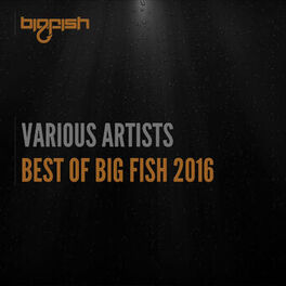Album cover of Best of Big Fish 2016