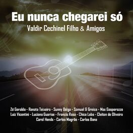 Album cover of Eu Nunca Chegarei Só: Valdir Cechinel Filho & Amigos