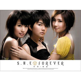 Album cover of Forever 新歌 + 精选