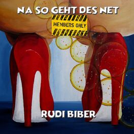 Album cover of Na so geht des net