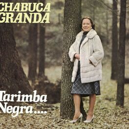 Album cover of Tarimba Negra