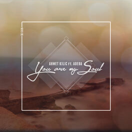 Album cover of You Are My Soul (feat. Adeba)