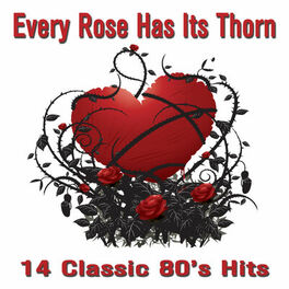 Album cover of Every Rose Has It's Thorn: 14 Classic 80's Hits from Bret Michaels, Slash, Ronnie Dio, Lita Ford, Warrant, Asia, And Much More!