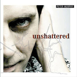 Download CD Peter Murphy – Unshattered 2006