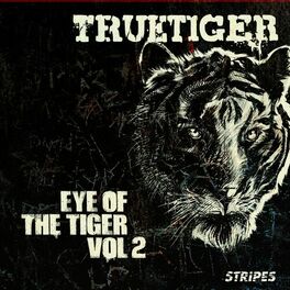 Album cover of Eye of the Tiger, Vol. 2