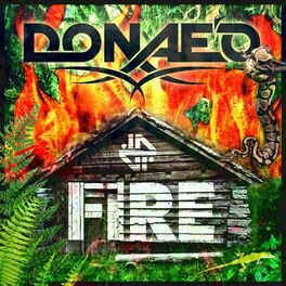 Album cover of Fire