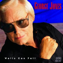 Album cover of Walls Can Fall