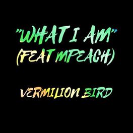 Album cover of What I Am (feat. Mpeach)