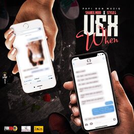 Album cover of Vex When (feat. Stylo G)