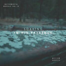 Album cover of Soaking in His Presence, Vol. 16