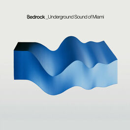 Album picture of Underground Sound Of Miami