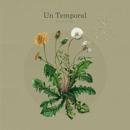 Album cover of Un Temporal