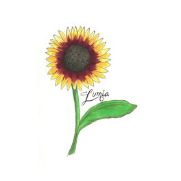 Album cover of Lumia