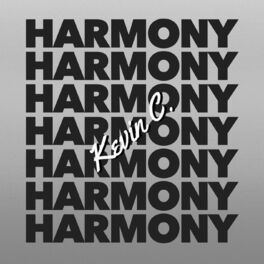 Album cover of Harmony (Don't Stop! Remix)