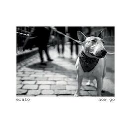 Album cover of Now Go