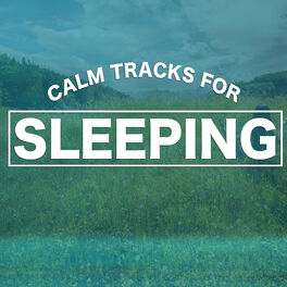 Album cover of Calm Tracks for Sleeping