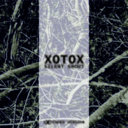 Album cover of Silent Shout (Extended)