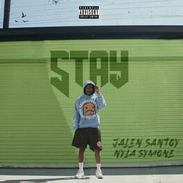 Album cover of STAY