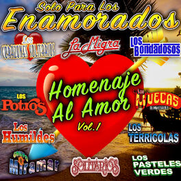 Album cover of Solo Para Los Enamorados Homenaje Al Amor, Vol.1