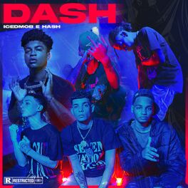 Album cover of Dash
