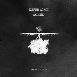 Album cover of Kâfur Ağacı
