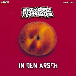 Album cover of In den Arsch