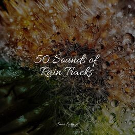 Album cover of 50 Loopable Rain Sounds for Relaxation & Meditation