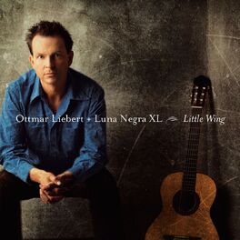 Album cover of Little Wing