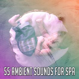 Album cover of 55 Ambient Sounds For Spa