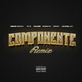Album cover of Componente (Remix)