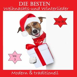 Album cover of Top 30: Die besten Weihnachts- & Winterlieder - Modern & traditionell, Vol. 3