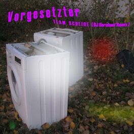 Album cover of Vorgesetzter (Remix)