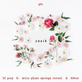Album cover of Avoid