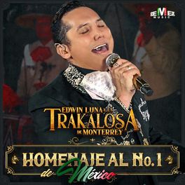 Album cover of Homenaje al N° 1 de México